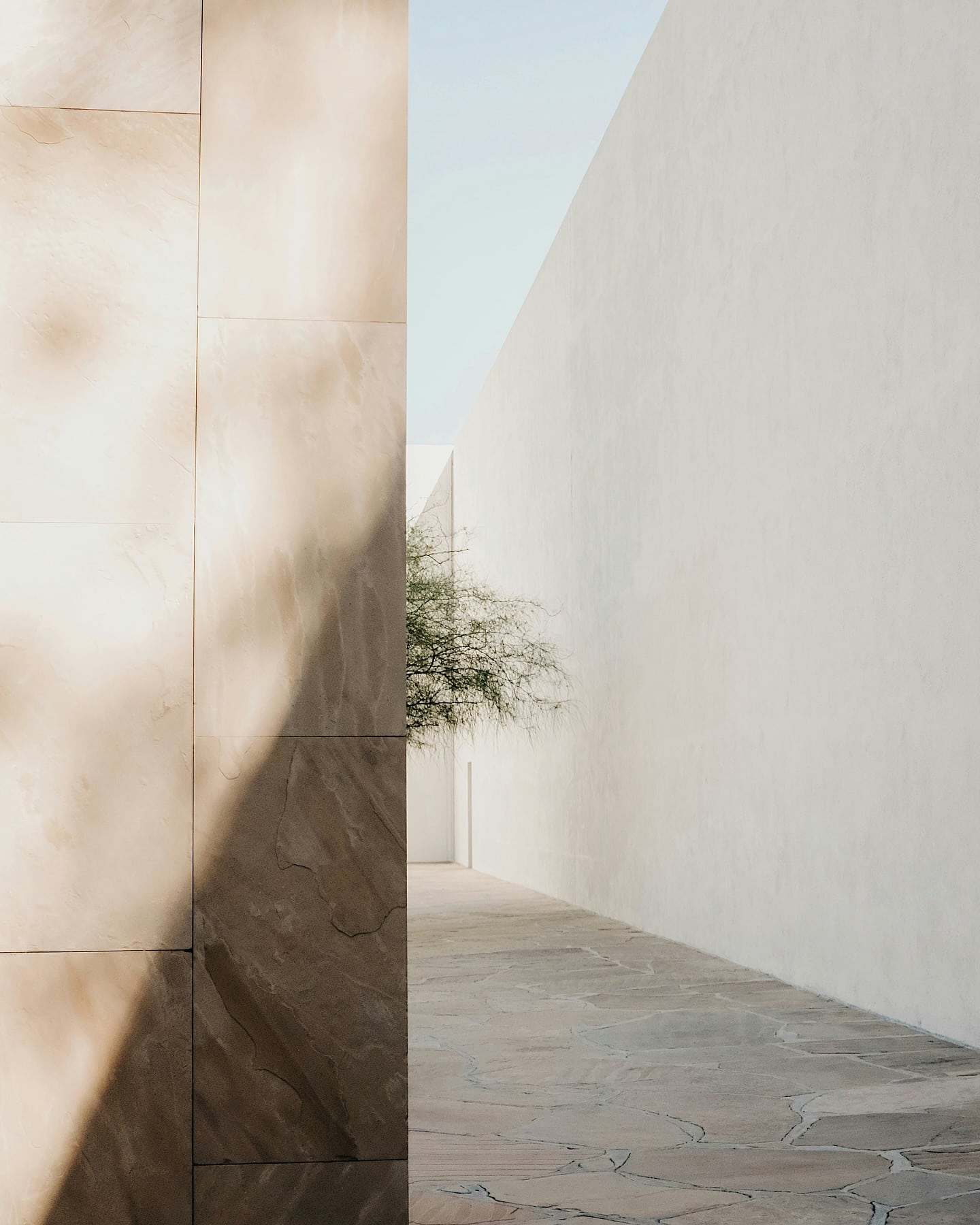 539094216 17976833834877018 5968344282914291022 n